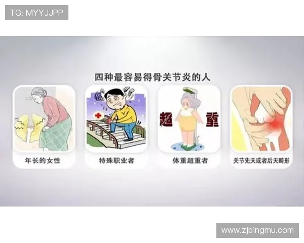 从零起步掌握篮球比赛技巧与策略的全面指南