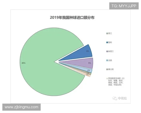 独家分析：杭州排球队的速度对比