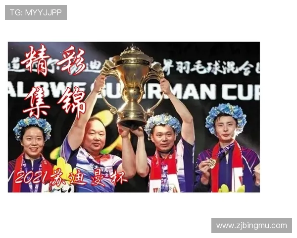 深圳羽毛球队总决赛精彩表现分析与实力评估